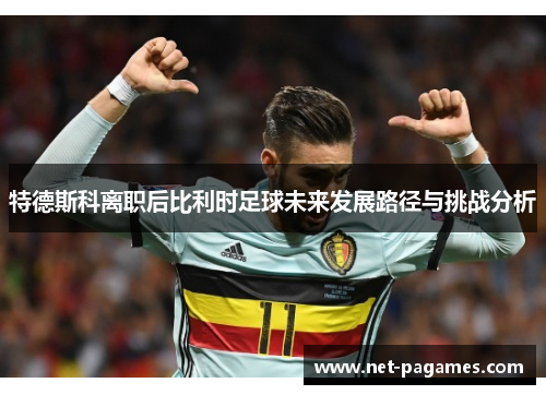 特德斯科离职后比利时足球未来发展路径与挑战分析