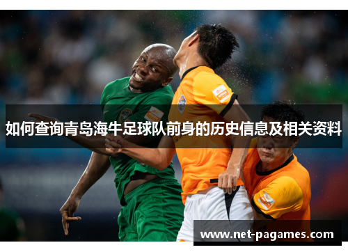 如何查询青岛海牛足球队前身的历史信息及相关资料
