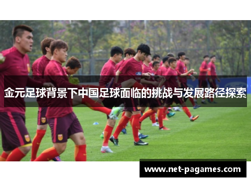 金元足球背景下中国足球面临的挑战与发展路径探索