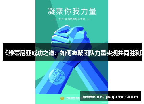 《维蒂尼亚成功之道：如何凝聚团队力量实现共同胜利》