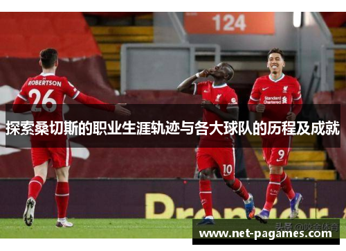 探索桑切斯的职业生涯轨迹与各大球队的历程及成就